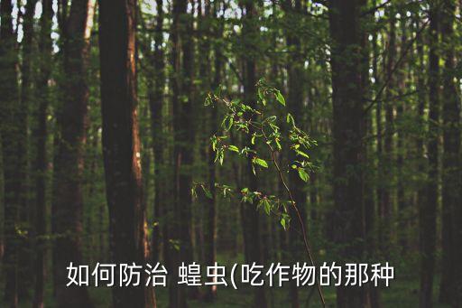 用什么農藥可毒殺蝗蟲,用農藥噴灑毒殺蝗蟲的方法優點