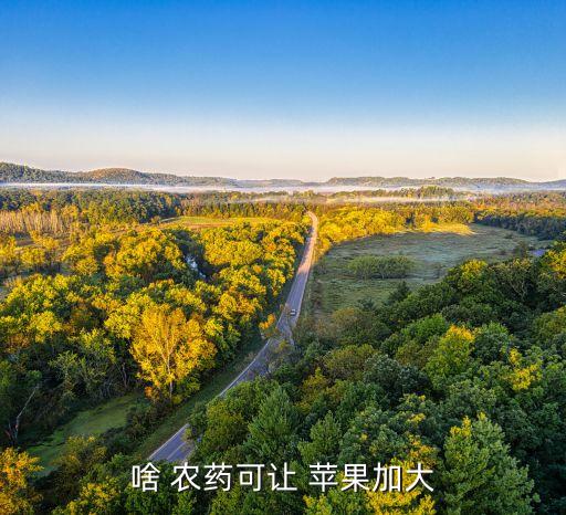 蘋果一般噴什么農藥,用什么農藥噴毛毛蟲最有效