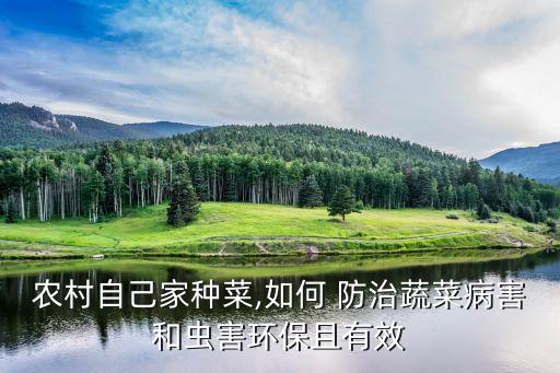 農(nóng)歌農(nóng)藥防治什么病,果實(shí)蠅用什么農(nóng)藥防治?