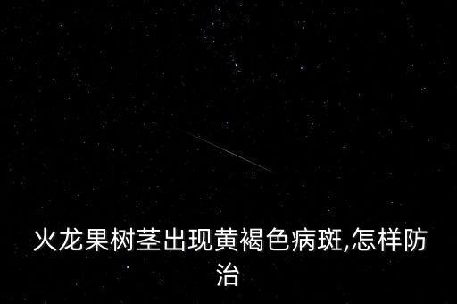 火龍果樹莖出現(xiàn)黃褐色病斑,怎樣防治