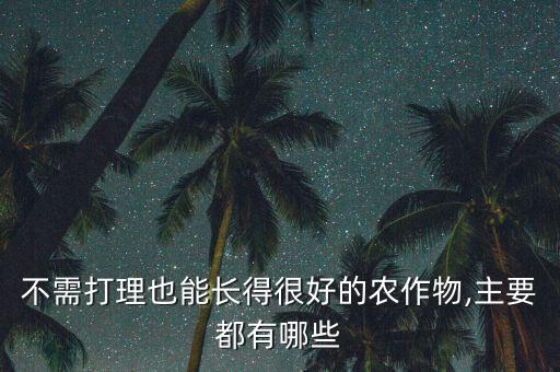 不需打理也能長得很好的農作物,主要都有哪些
