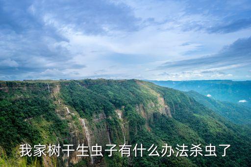 樹上有蟲用什么農(nóng)藥最好,樹上毛毛蟲用什么農(nóng)藥