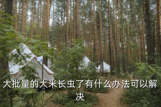 米蟲應該打什么農藥,白菜米蟲用什么農藥