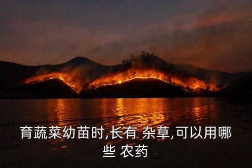 育蔬菜幼苗時,長有 雜草,可以用哪些 農藥