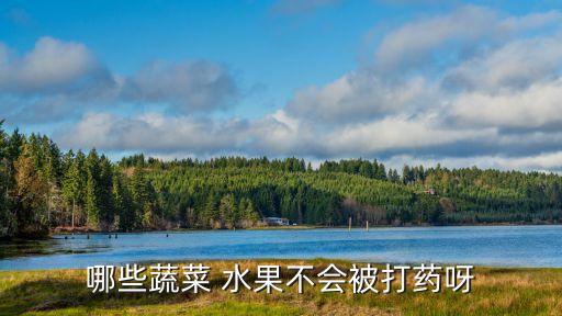 種植什么水果不用農藥的,種植大蔥用什么農藥