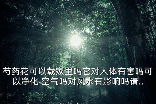 農(nóng)藥店里擺放什么植物空氣好些