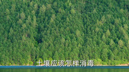  土壤應該怎樣消毒