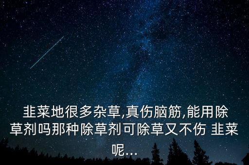  韭菜地很多雜草,真傷腦筋,能用除草劑嗎那種除草劑可除草又不傷 韭菜呢...