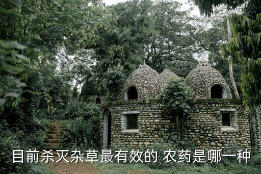 粗莖草用什么農(nóng)藥,什么農(nóng)藥能把草徹底殺死