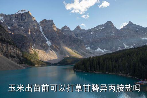 玉米葉片用什么農(nóng)藥,什么農(nóng)藥能讓玉米不結(jié)棒