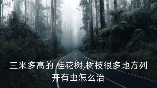 三米多高的 桂花樹,樹枝很多地方列開有蟲怎么治