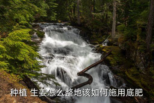 種植 生姜怎么整地該如何施用底肥