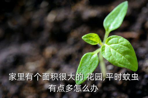 花園用什么農藥滅蚊子,花園蚊子多有什么辦法