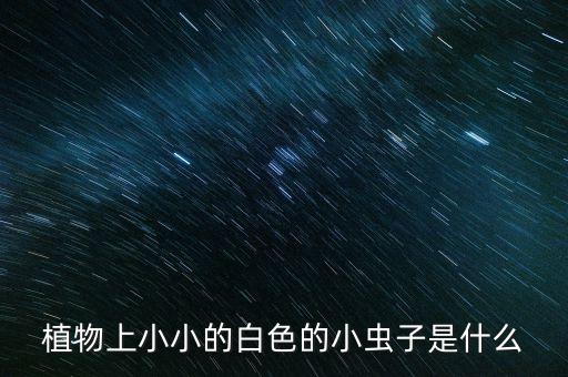 植物上小小的白色的小蟲子是什么