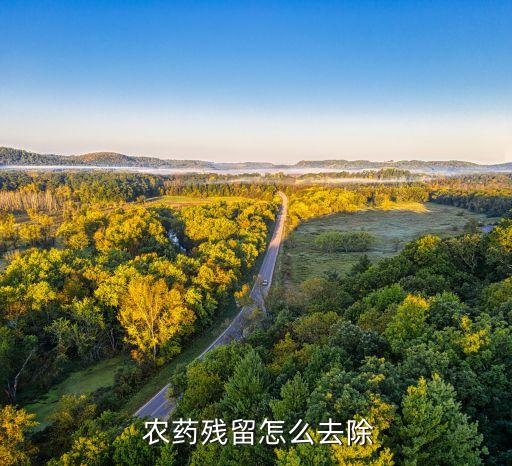 吃什么排出體內農藥,如何排出體內的農藥