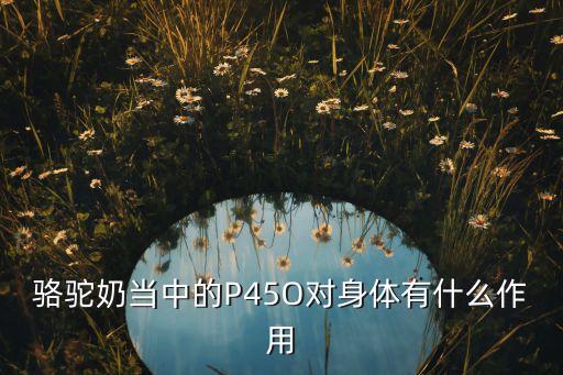 駱駝奶當(dāng)中的P45O對(duì)身體有什么作用