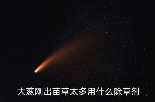 大蔥使用什么農(nóng)藥,大蔥打什么農(nóng)藥綠油油