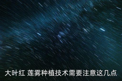 蓮霧花期打什么農(nóng)藥