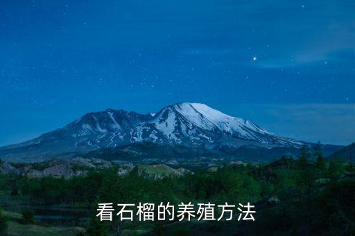 石榴樹打什么農藥,打石榴樹用什么農藥好