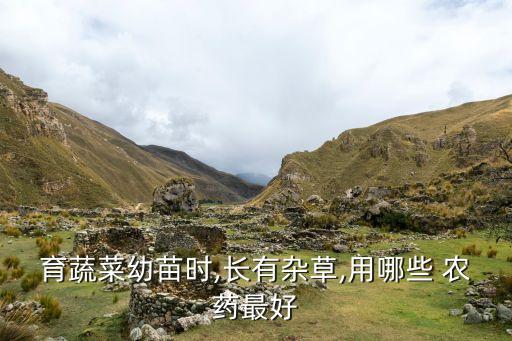 育蔬菜幼苗時,長有雜草,用哪些 農藥最好