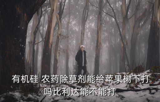 有機(jī)硅農(nóng)藥都有什么,農(nóng)藥有機(jī)硅助劑禁用