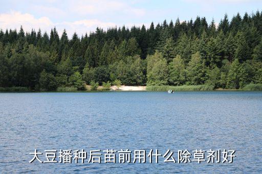 大豆打農藥用什么藥好,大豆增產打什么藥