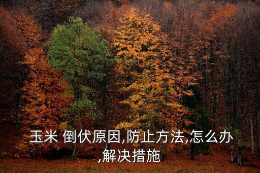 玉米用什么農藥抗倒伏,玉米倒伏是因為缺什么