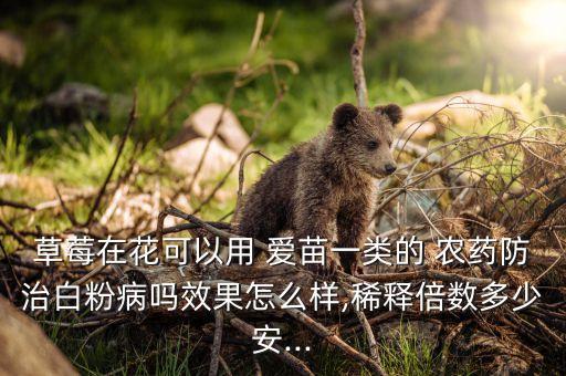 草莓在花可以用 愛苗一類的 農藥防治白粉病嗎效果怎么樣,稀釋倍數多少安...