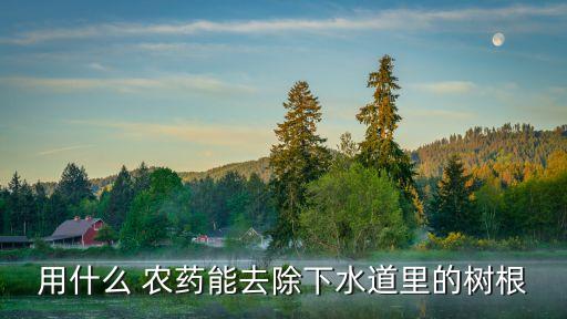 用什么 農藥能去除下水道里的樹根