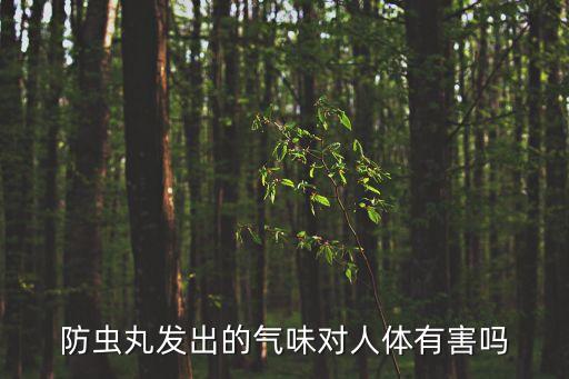 防蟲(chóng)丸發(fā)出的氣味對(duì)人體有害嗎