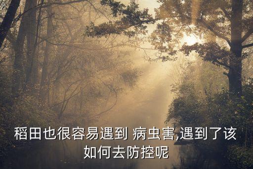 稻田也很容易遇到 病蟲害,遇到了該如何去防控呢