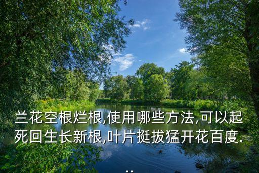 什么農(nóng)藥可以讓樹爛根,花爛根用什么農(nóng)藥特效