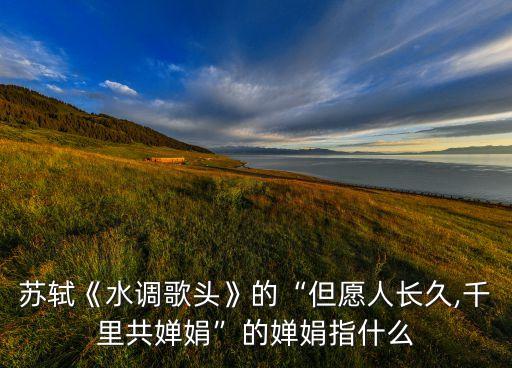 蘇軾《水調歌頭》的“但愿人長久,千里共嬋娟”的嬋娟指什么