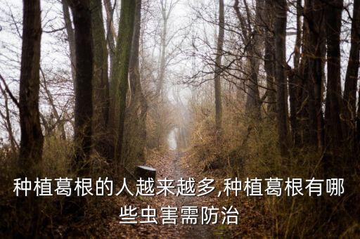 殺野生葛藤用什么農(nóng)藥,野生葛藤有什么作用