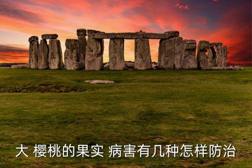 大 櫻桃的果實(shí) 病害有幾種怎樣防治