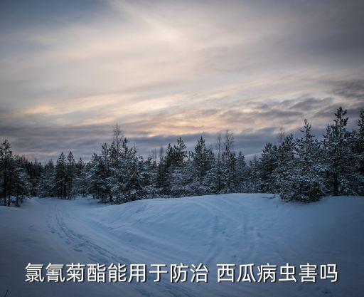 氯氰菊酯能用于防治 西瓜病蟲害嗎