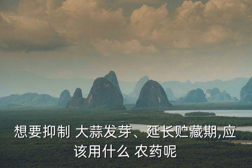 大蒜能打什么農藥好呢,大蒜增產用什么農藥