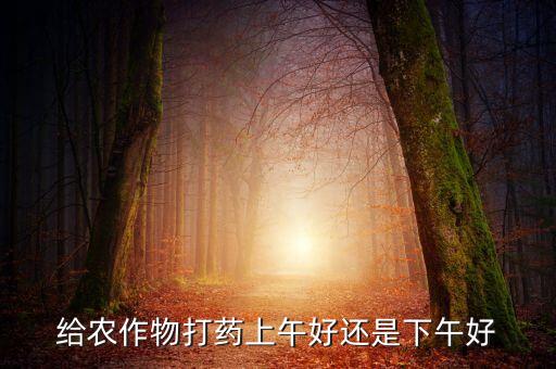 蔬菜什么時(shí)間施農(nóng)藥好,洗蔬菜用什么洗去農(nóng)藥