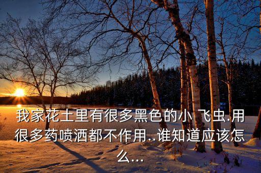 我家花土里有很多黑色的小 飛蟲.用很多藥噴灑都不作用..誰知道應該怎么...