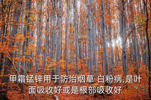 甲霜錳鋅用于防治煙草 白粉病,是葉面吸收好或是根部吸收好