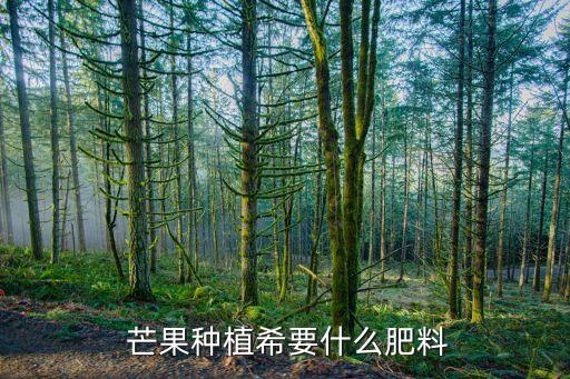 芒果成果用什么農藥,芒果用什么農藥催花