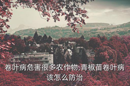 芝麻卷葉用什么農(nóng)藥,芝麻打什么農(nóng)藥高產(chǎn)