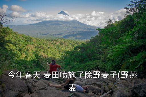 麥田農藥是什么意思,夢見綠油油的麥田是什么意思