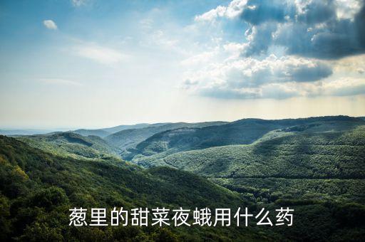 蔥里的甜菜夜蛾用什么藥