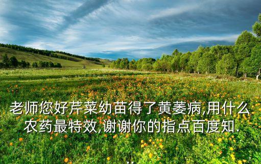 老師您好芹菜幼苗得了黃萎病,用什么 農藥最特效,謝謝你的指點百度知...