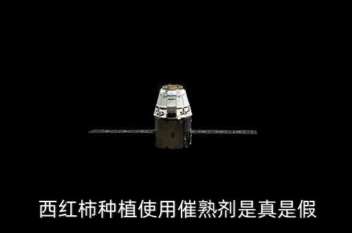 西紅柿為什么會打農(nóng)藥,為什么說西紅柿?xí)淮? /></a><a href=