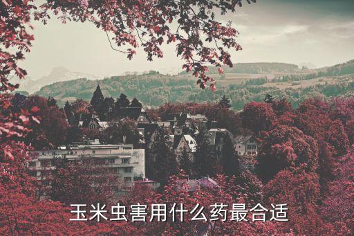 玉米打什么農藥不蟲蛀,玉米種下后需要噴什么農藥