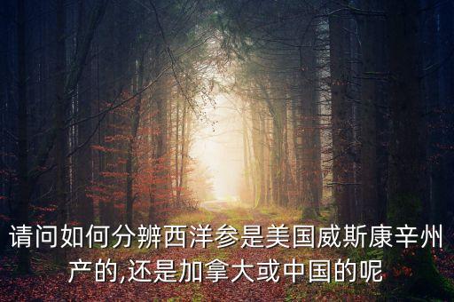 請問如何分辨西洋參是美國威斯康辛州產的,還是加拿大或中國的呢