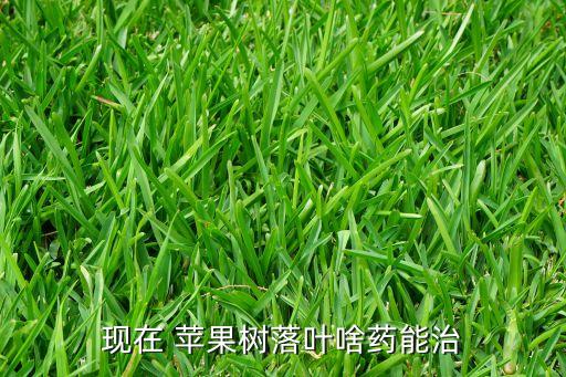 蘋果落花用什么農藥,什么方法可以避免蘋果落花