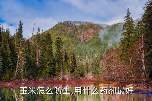  玉米怎么防蟲(chóng),用什么藥劑最好